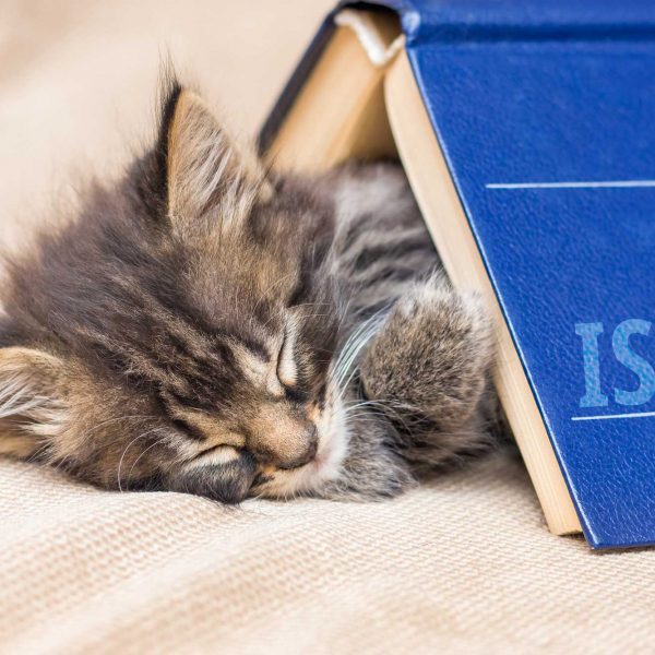 Read more about the article Hogyan spórolhatunk az ISBN számmal?